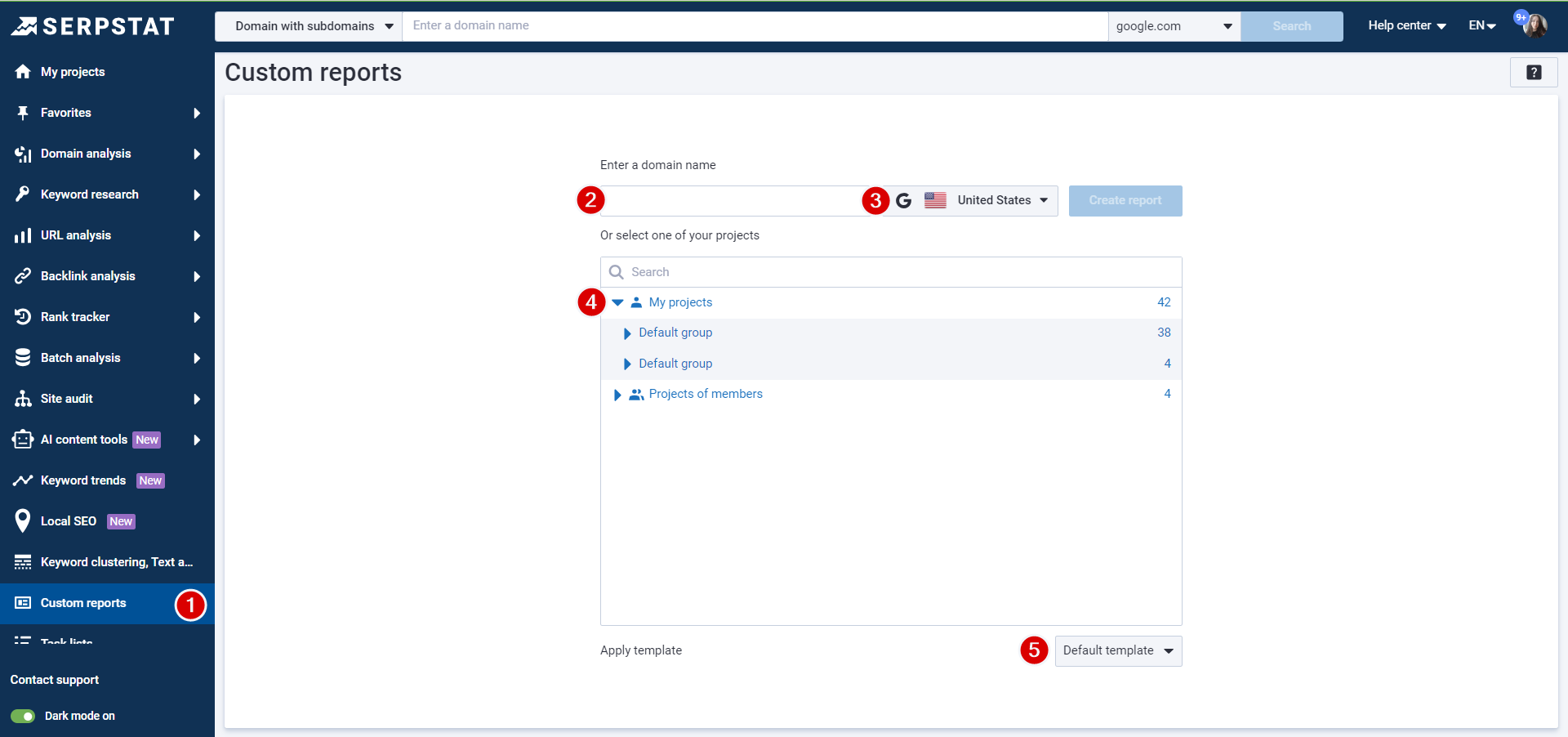 Open Custom reports